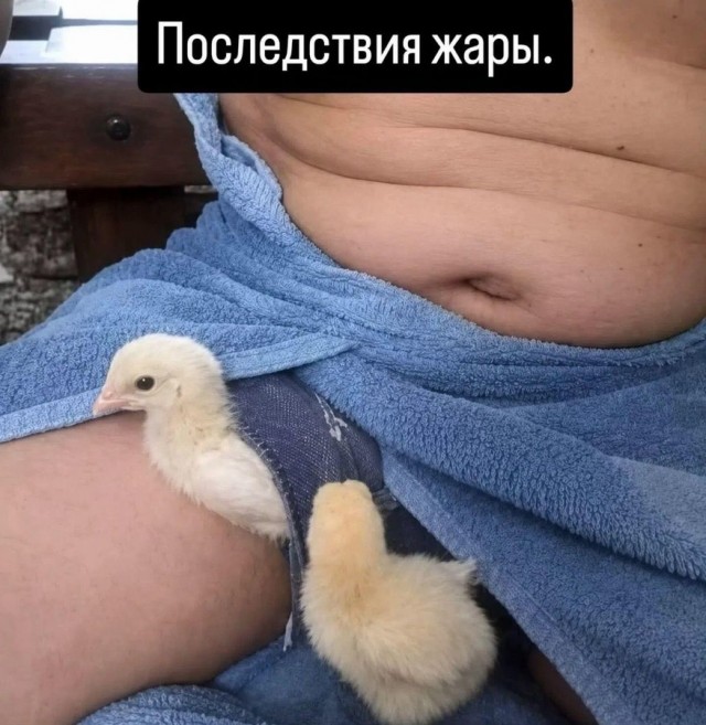 Картинки для деградации 237 (разной степени свежести)