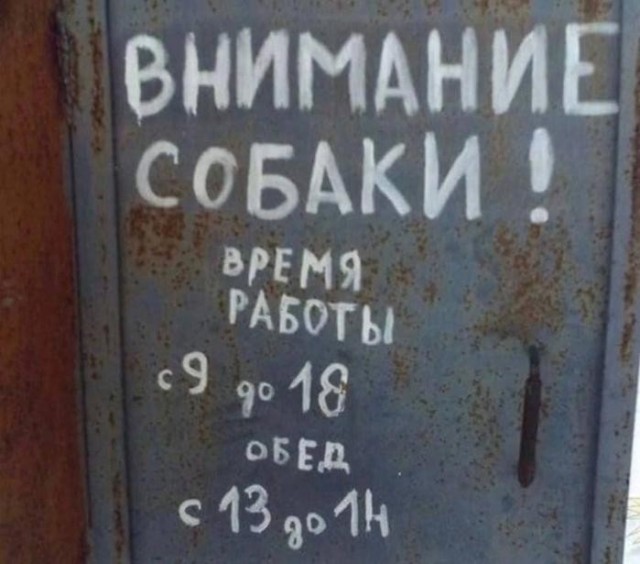 Картинки для деградации 240 (разной степени свежести)