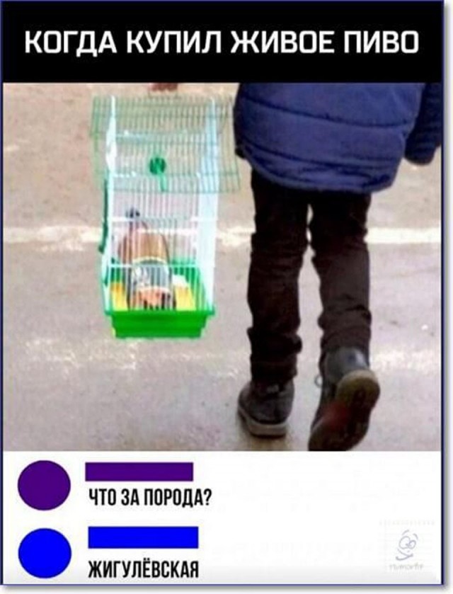 Прикольные и просто красивые картинки 04.09.2026