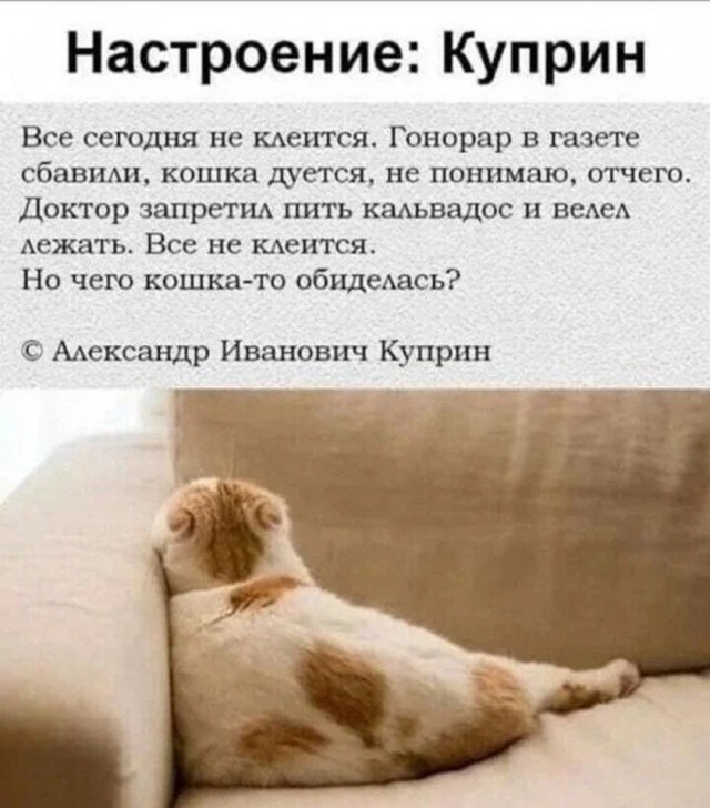 Так себе картинки 14.09.26