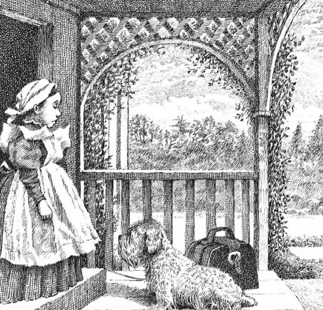 Иллюстрации к книге