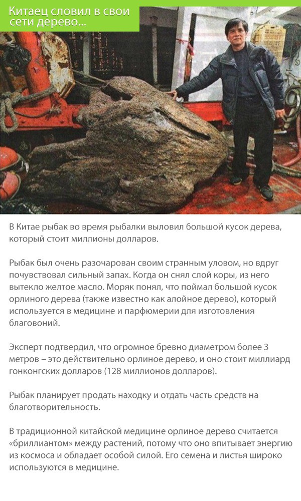Китаец словил в сети дерево