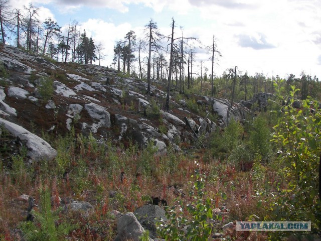 Американский weekend