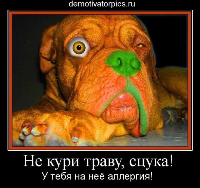 Про принципы