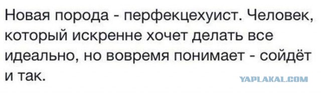 Рай геймера перфекциониста.