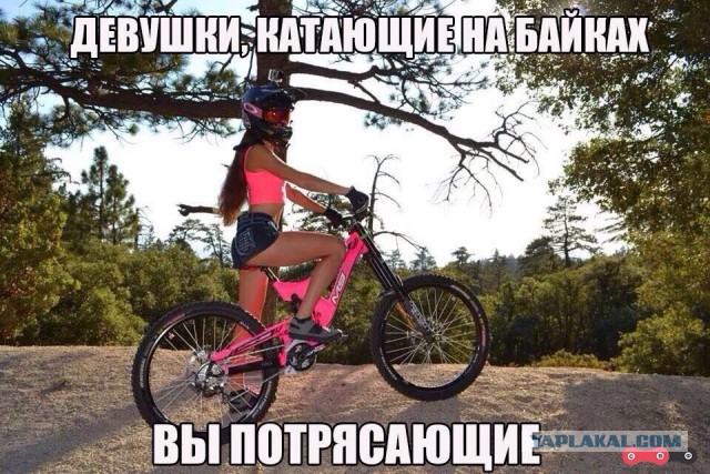 Весёлое из сети