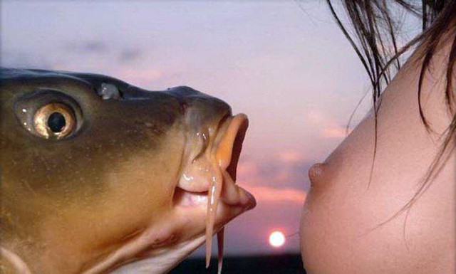 Девушки на рыбалке