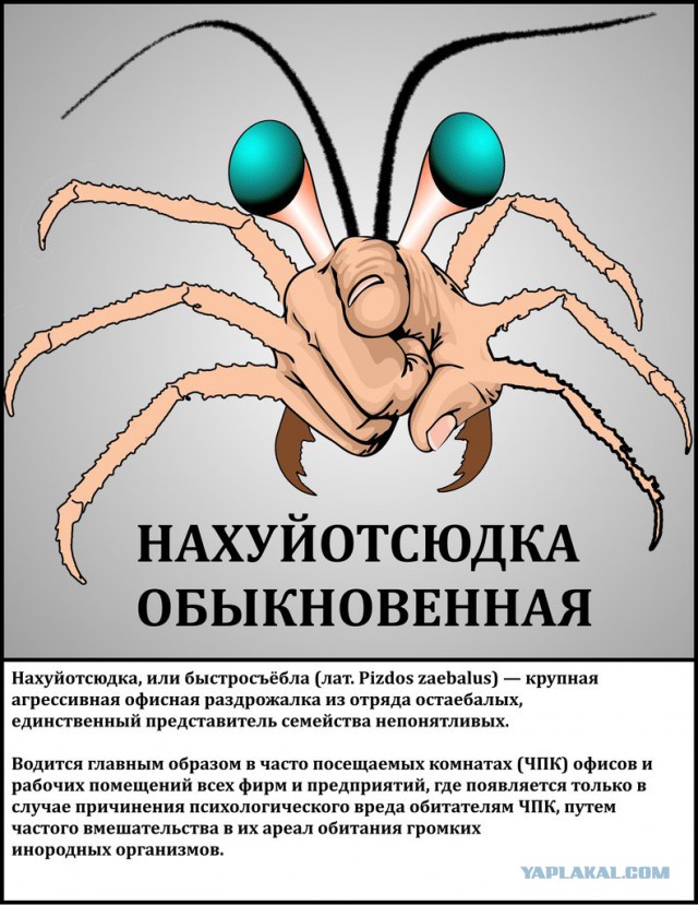 Картинки с буквами -11