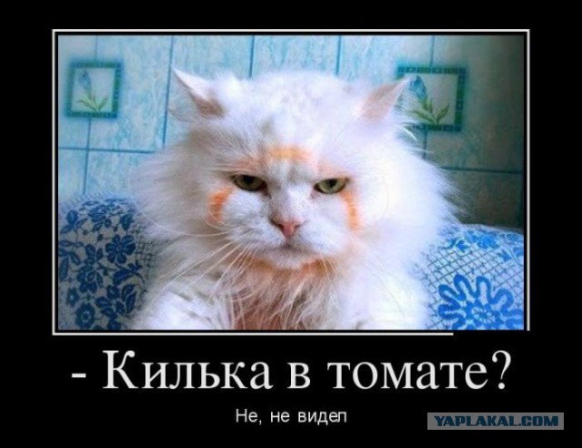 Весёлые картинки