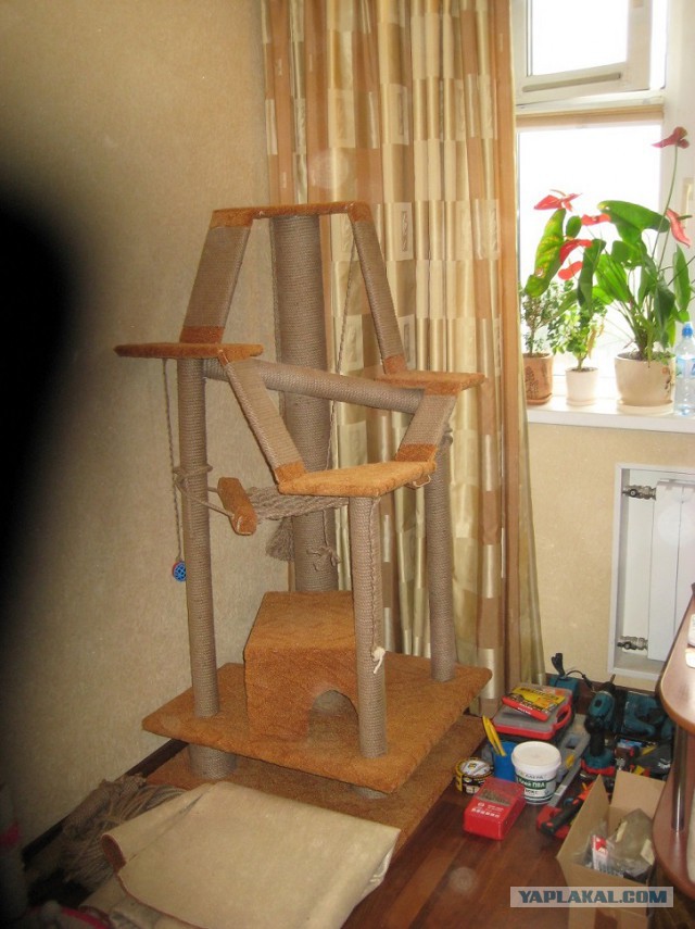 Кошкин дом - он такой