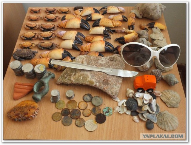 Непутёвые заметки. Поездка на Чёрное море