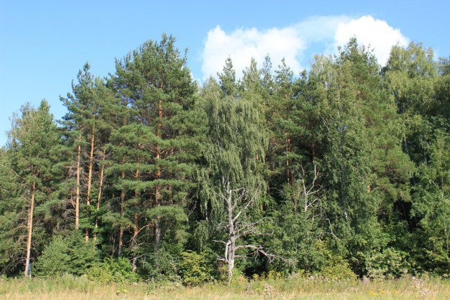 Россия