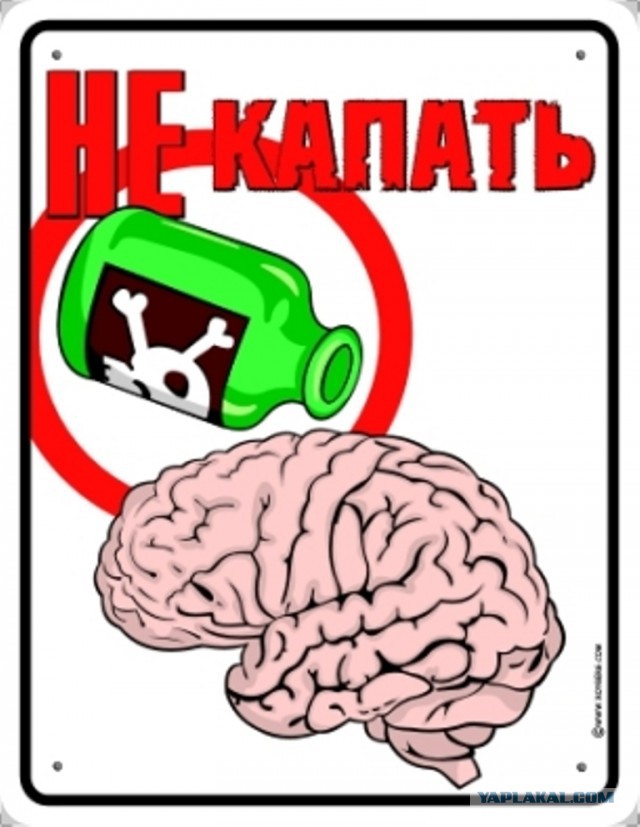40 улыбательных картинок