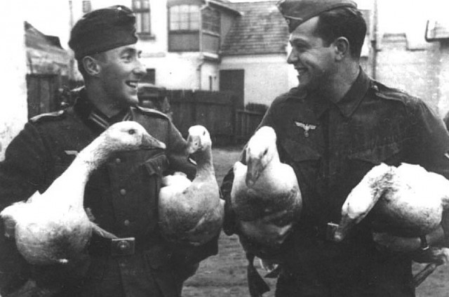 Немецкие солдаты покинули учения НАТО, потому что им не заплатили сверхурочные