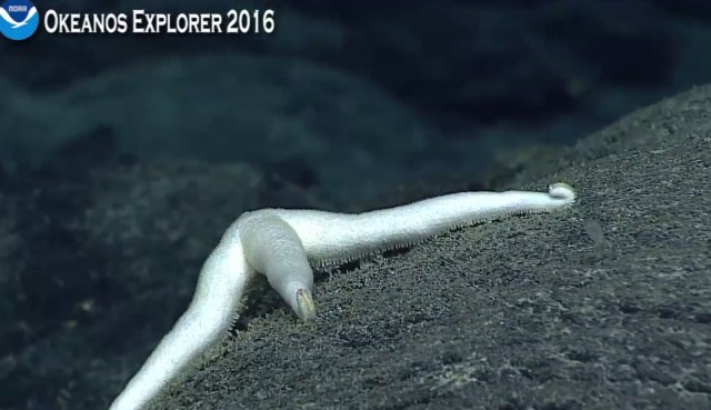 Началась онлайн-трансляция происходящего в самом глубоком месте Земли