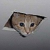 Аватары. Коллекция прикольных аватаров