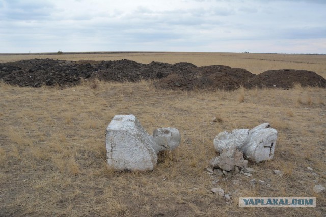 Таёжные находки. Что находят в лесах Кузбасса туристы?