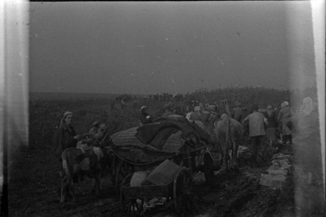 Фотографии к "Нахальному минированию" и "Лехе"-2