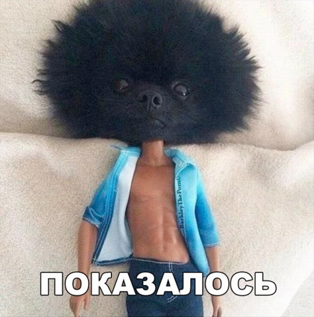 Подборка интересных и веселых картинок
