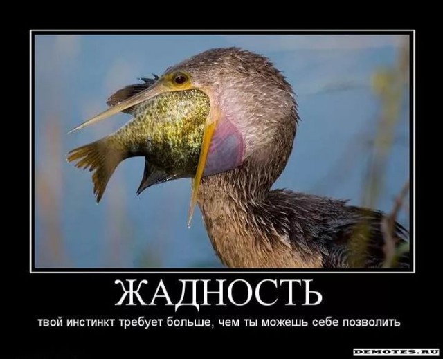 Дополнительные услуги в краснодарском такси