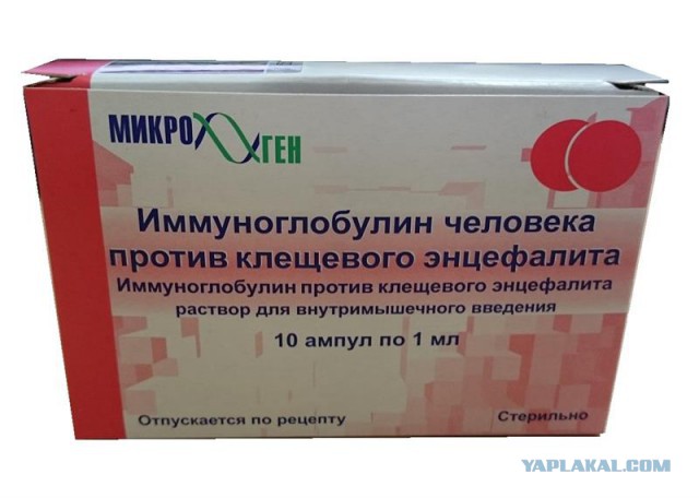 Укус Клеща и Ураган в деревне!