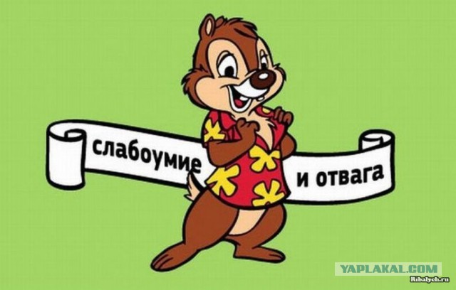 Скоростной полет через туман (облака) с Jamie Lee