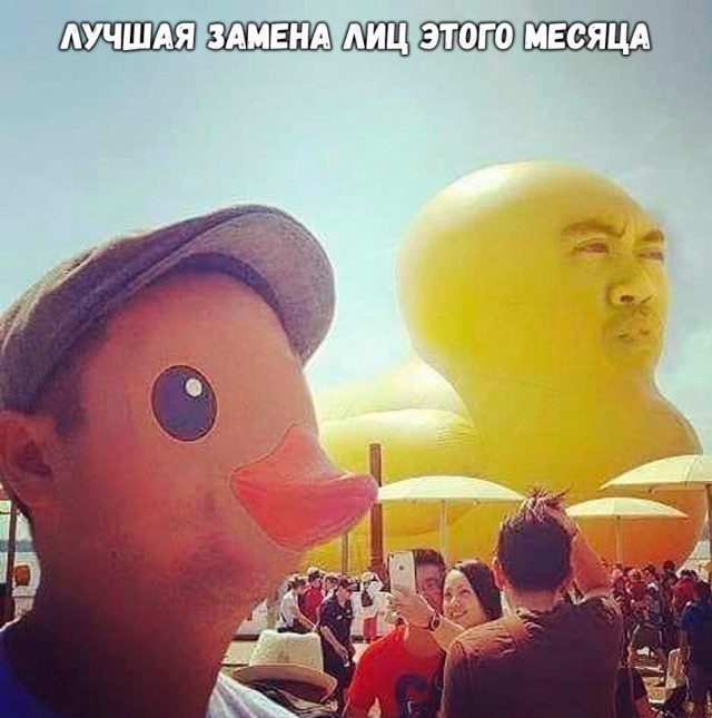 Немного картинок