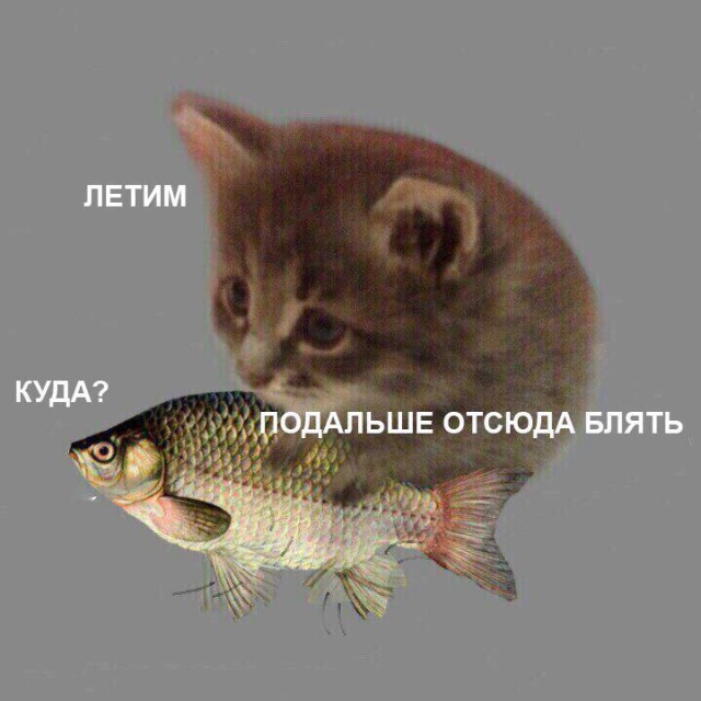 Картинки из этих ваших интернетов