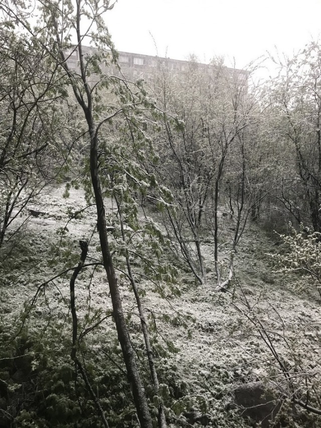 "Гора Дураков". Мурманск.