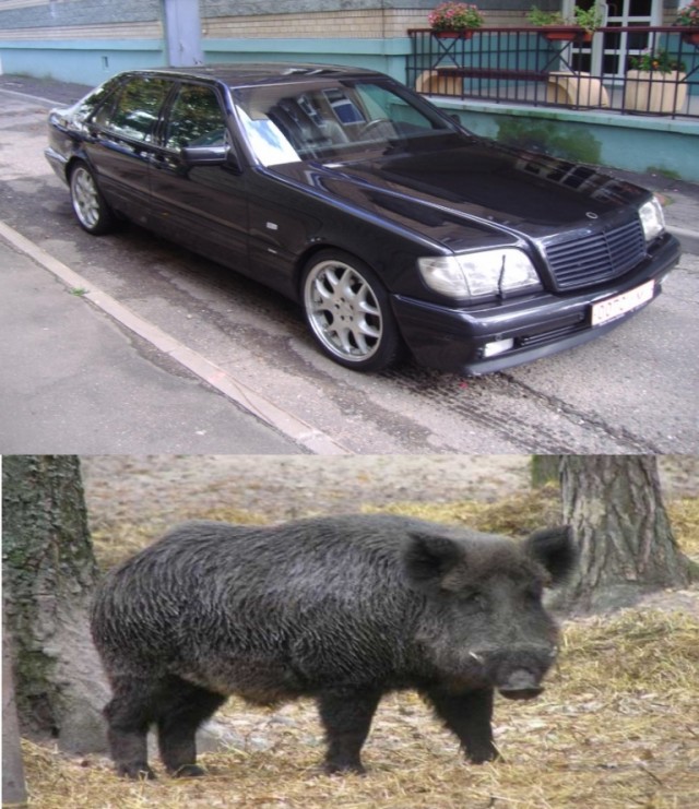 Клички у автомобилей