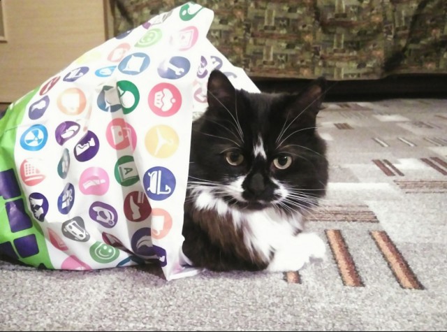 Немного милоты