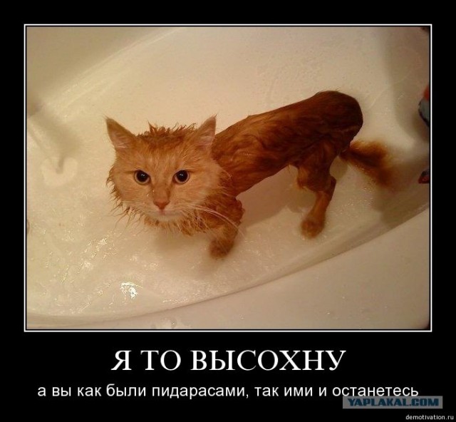 Ты не жилец, хозяин