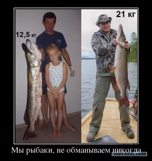 Названы новые правила рыбалки в России