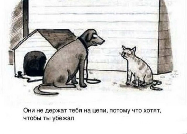 Гуляет Алиса по шахматным клеткам, или шоколадка за нольпятку