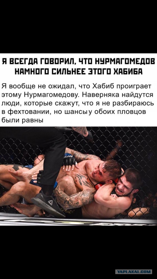 “Русские богатыри” на UFC