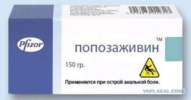Помогите вернуть кота! Приют "Преданное сердце" украл кота и не отдает!-2