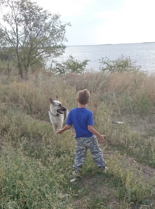 К собакочетвергу
