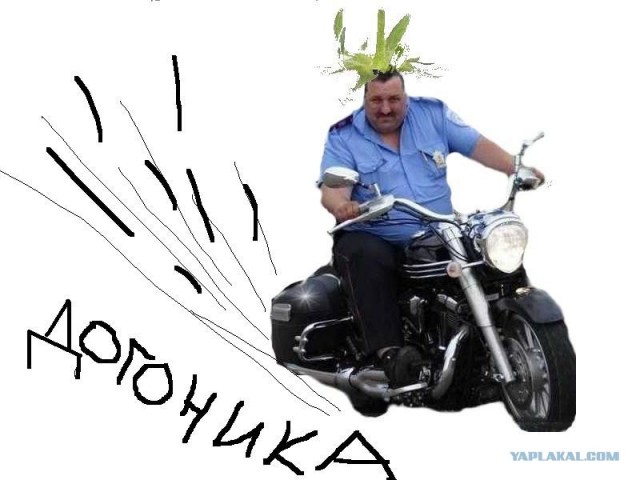 Фотожаба: Лето, фрукты, генетика!