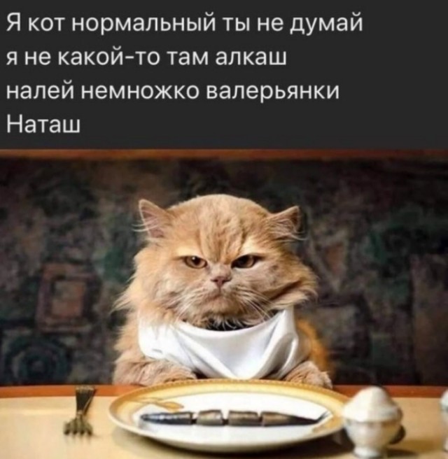 Алкопост 19.09.20