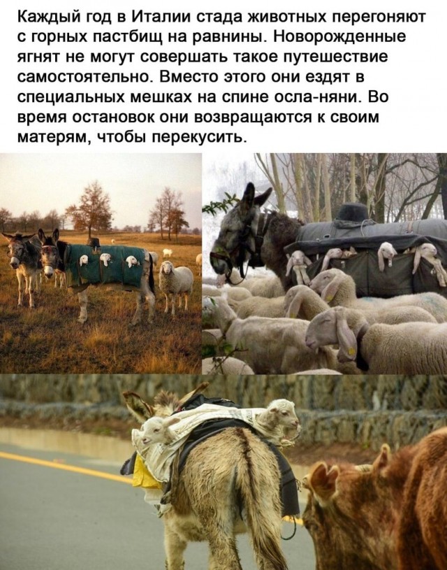 Картинки и мемы для настроения 016