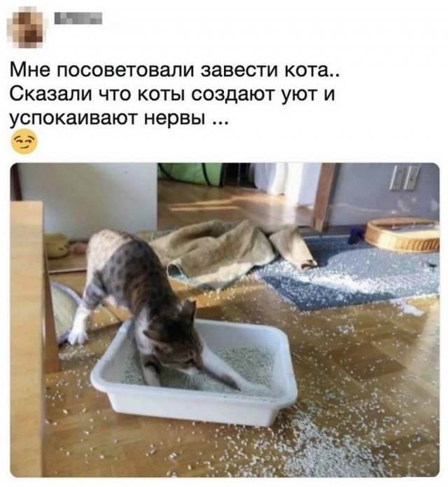Картинки и мемы для настроения