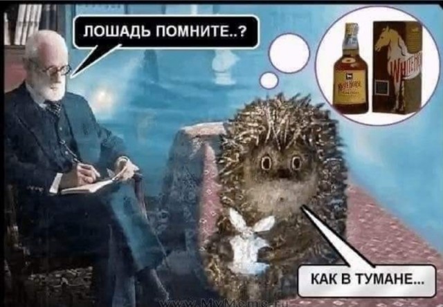 Всяческие картинки 10.12.2021
