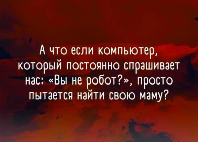 Так себе картинки 23.02.22