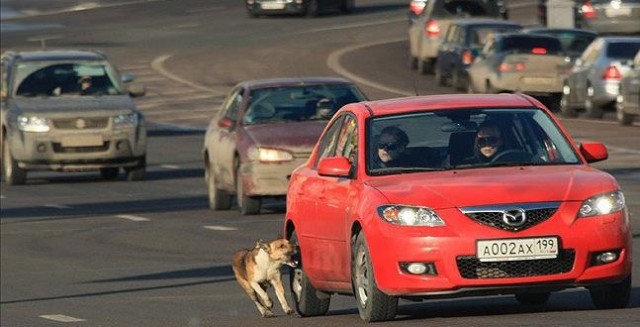 Обнаружили девушку, которую фотографы засняли на развалинах роддома в Мариуполе.