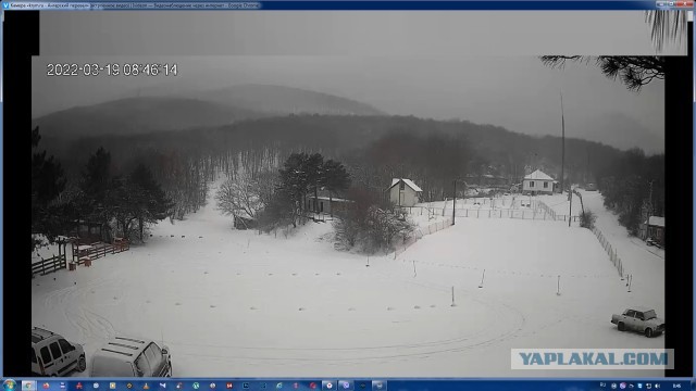 Крым 19.03.2022