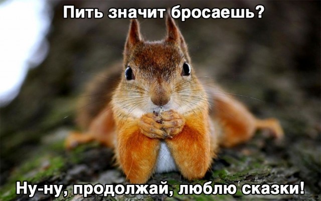 Немного картинок и прочей хреноты Vol. 6
