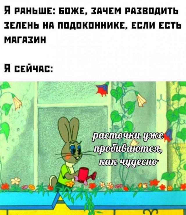 Картинки и мемы, всем отличных выходных