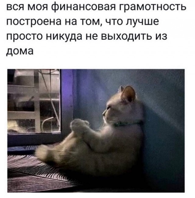 Картинки с надписями и всякие жизненные фразы