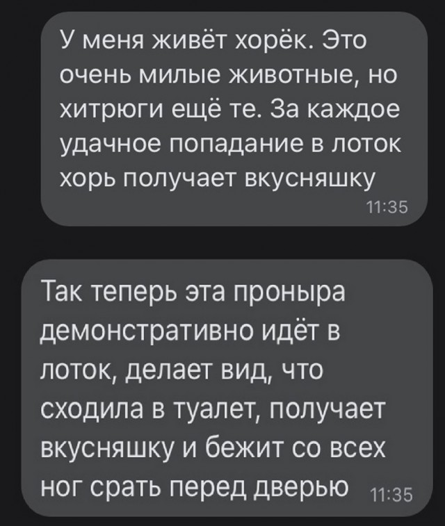 Так себе картинки 21.05.22