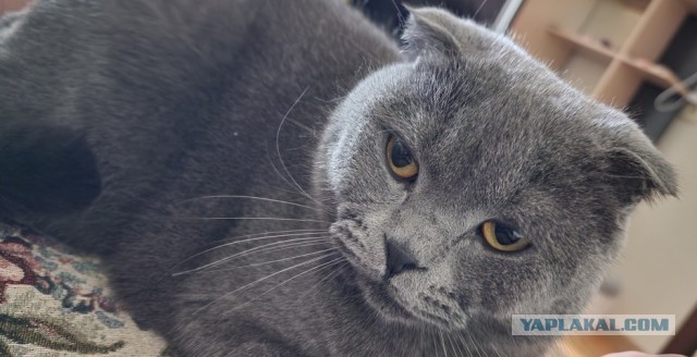 У кого так же?